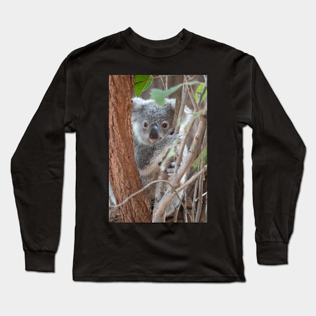 Baby Koala, Australian Wildlife Long Sleeve T-Shirt by AndrewGoodall